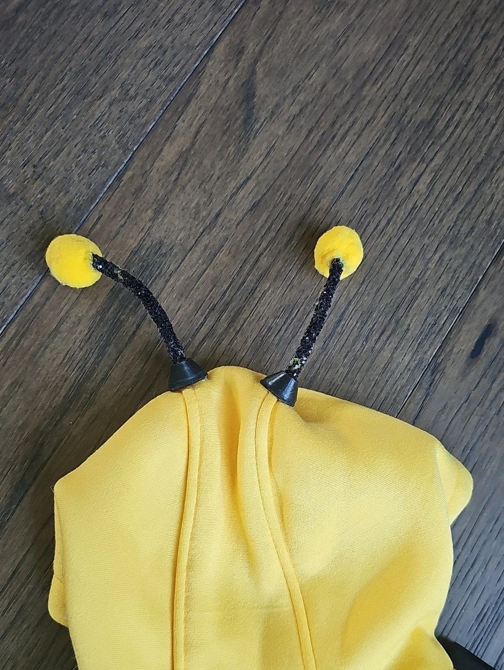 Bumblebee Pet Costume